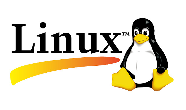 Установка ОС Linux для предпринимателей и организаций